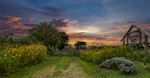 Loganberry Farms