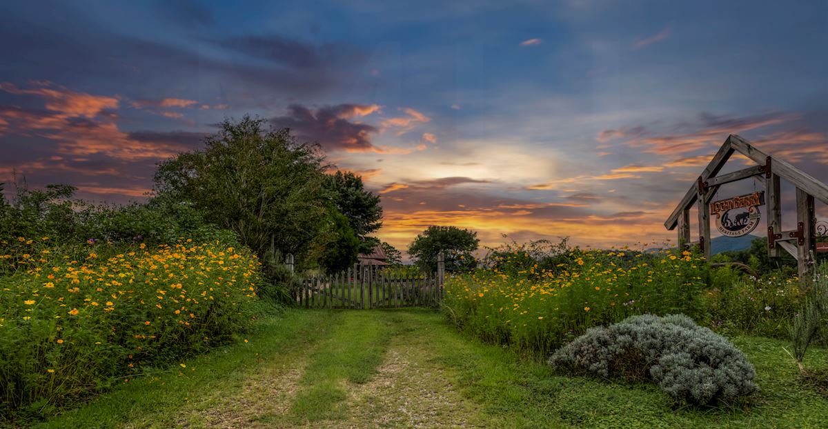 Logan Berry Farms