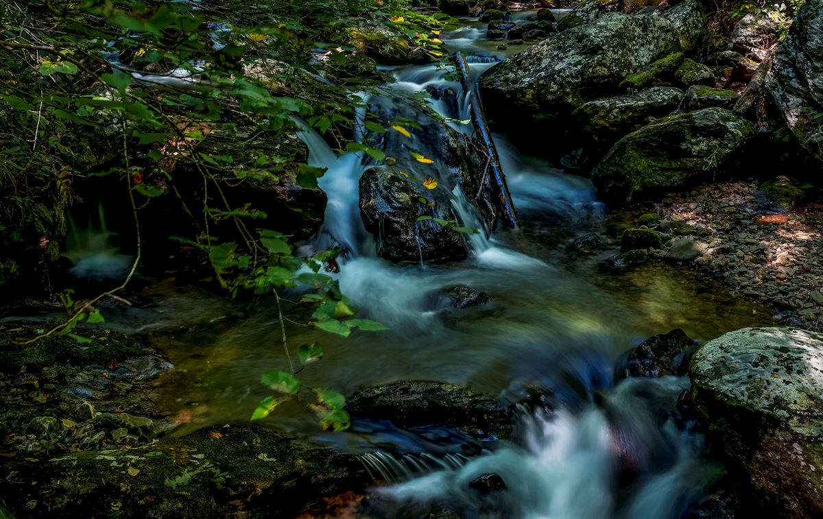 Anna Ruby falls